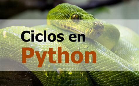 Como usar los ciclos en Python Guía 2024