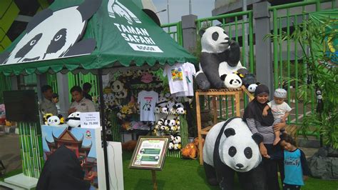 Harga Tiket Masuk Dan Lokasi Istana Panda Taman Safari Bogor Spot