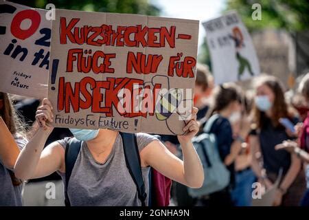 Plakat Kurzsteckenfl Ge Nur F R Insekten Am August Fand In