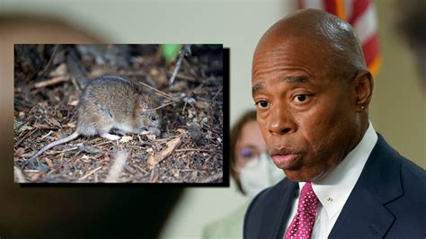 Rat City: New York City Mayor Eric Adams fined for rat infestation at ...