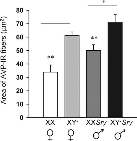 Sex Chromosome Complement And Gonadal Sex Influence Aggressive And