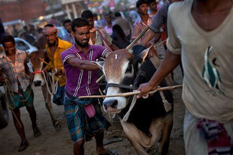 Eid Al Adha 2014 Photos Of Muslims Around The World Celebrating The