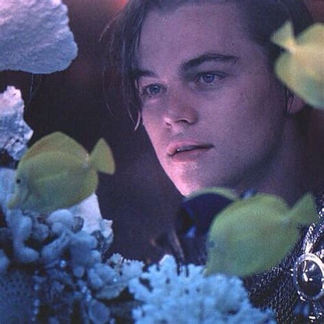 Imagem De Leonardo Dicaprio Romeo And Leo Leonardo Dicaprio Romeo