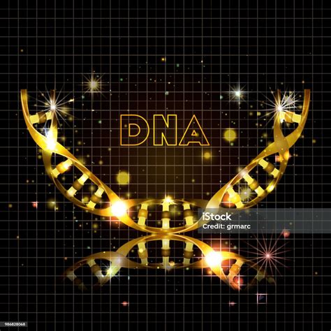 Dna 분자 반 원형 황금 구조 Dna에 대한 스톡 벡터 아트 및 기타 이미지 Dna 개념 건강관리와 의술 Istock