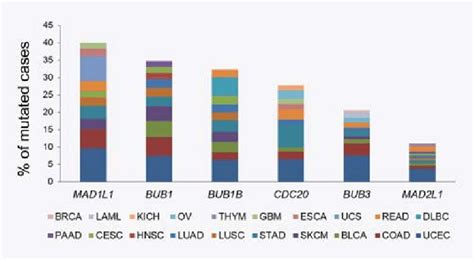 Distribution Of Sac Gene Mutations Across Cancers Frequency Of Download Scientific Diagram