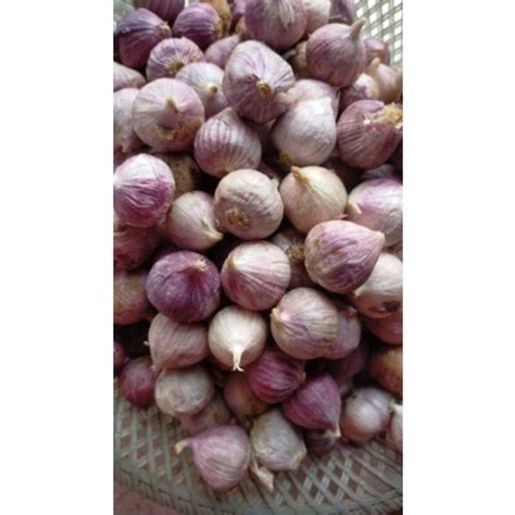 Jual Bawang Putih Tunggal Lanang Gram Kg Kilogram Import Jumbo