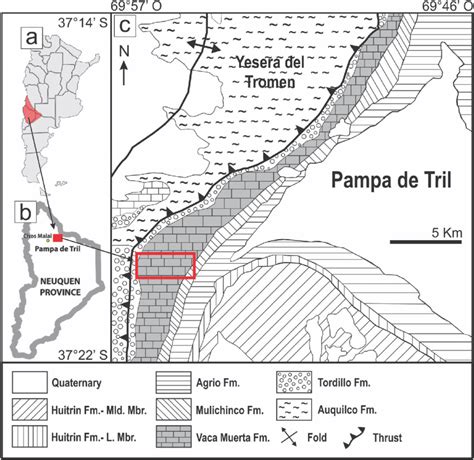 Location map showing a the Neuquén Basin into the Neuquén province