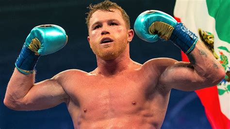 Canelo Alvarez Knockouts Highlights