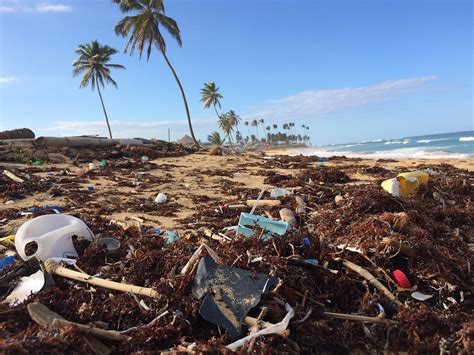 O Impacto Do Plástico No Meio Ambiente Nara Guichon