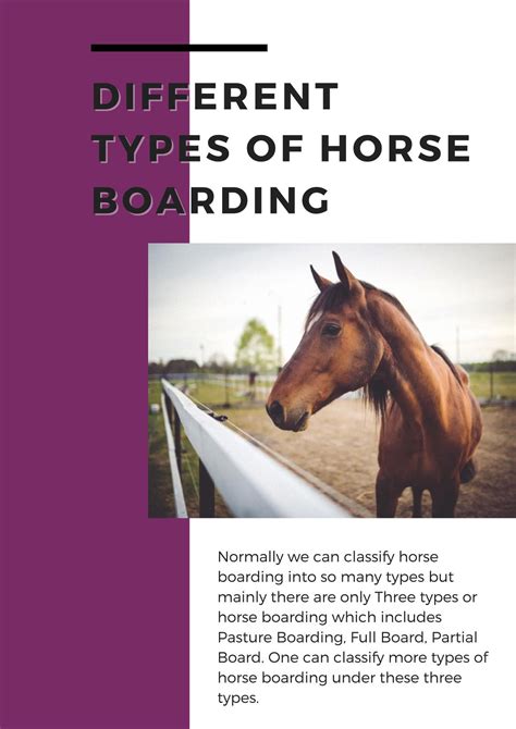 Different Types of Horse Boarding