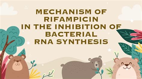 Mechanism Of Rifampicin In The Inhibition Of Bacterial Rna Synthesis