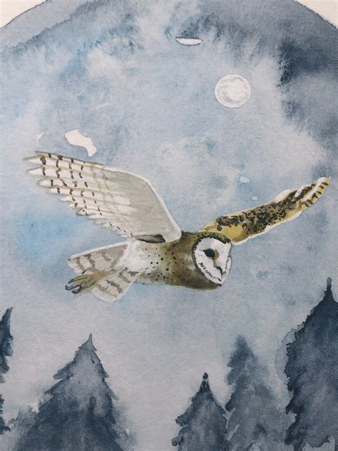 X Barn Owl In Flight Moonlight Forest With Owl Owl Against The Moon