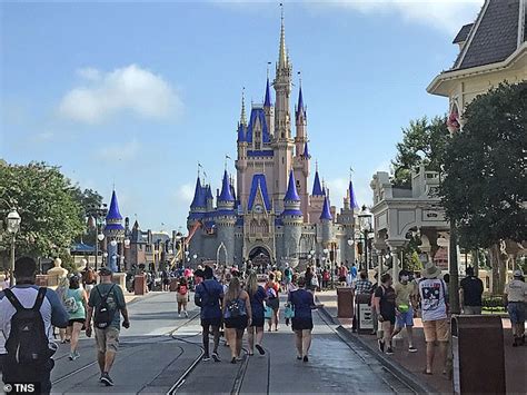 Three Disney Workers And A Teacher Are Among 219 People Snared In