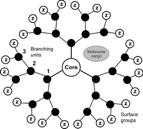 Shows A Scheme Of A Dendrimer Structure The Dendritic Structure Is Download Scientific Diagram