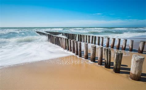 Premium Photo Breakwater On A Sandy Beach In Zeeland The Netherlands