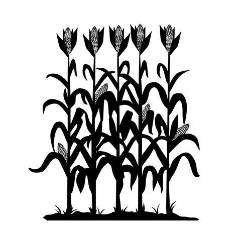 clip art of corn 7