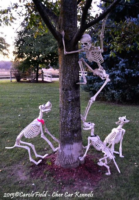 70 Skeleton Halloween Decoration Ideas For Outdoors