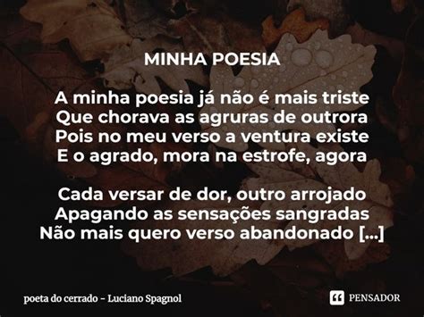 Minha Poesia A Minha Poesia J N O Poeta Do Cerrado Luciano