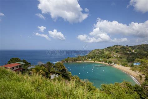 Tobago Beach stock photo. Image of rainforest, island - 68853400