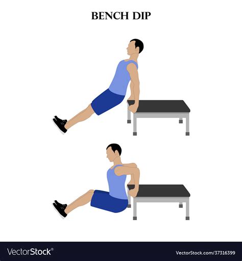 Bench Dip Exercise