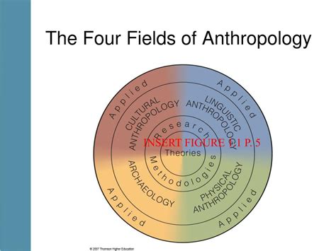 Four Fields Of Anthropology Slidesharetrick