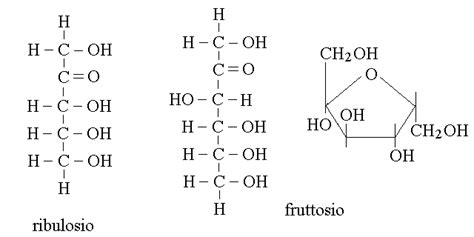 Monosaccaridi Modificati