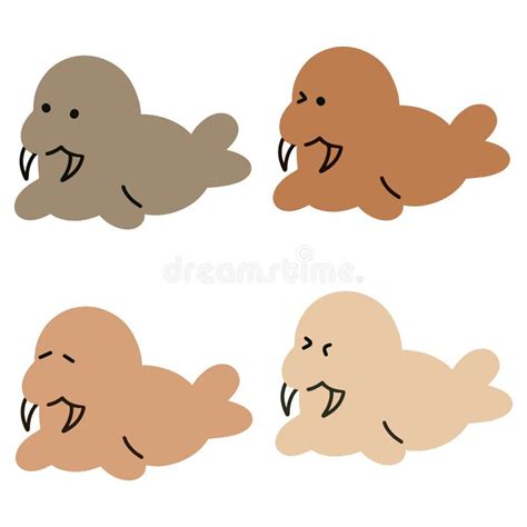 Delightful Walruses Stock Illustrations 6 Delightful Walruses Stock