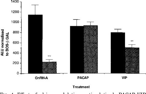 Figure 2 From Mechanism Of Action Of Pituitary Adenylate Cyclase