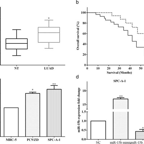 Overexpression Of Mir B Was Associated With Poor Prognosis A