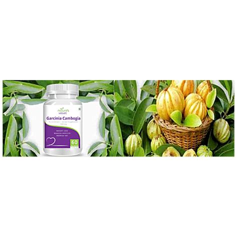 Buy Natures Velvet Garcinia Cambogia Extract 500 Mg Vegetarian Capsules