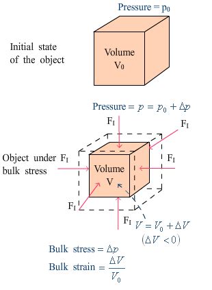 College Physics Ap