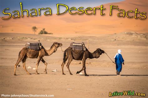 Sahara Desert Facts For Kids & Students: Pictures, Information & Video