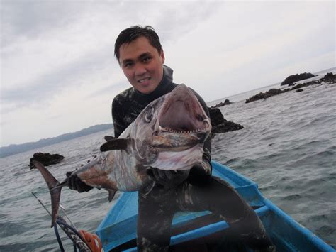 Spear Fishing Olahraga Masa Depan Dalam Berburu Ikan Indonesia Kaya