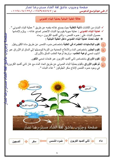 شرح المفهوم الأول في العلوم للصف السادس المنهج الجديد 2024 منصة