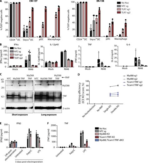 V3 Cas9 Protein Thermo Fisher Bioz