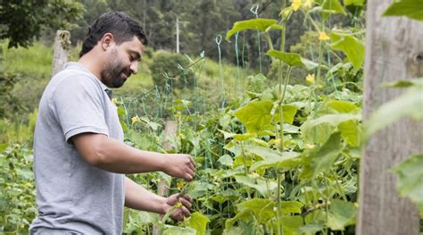 Sociedad de Mejoras Públicas de Manizales La reindustrialización una