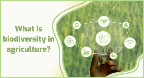 What Is Biodiversity In Agriculture