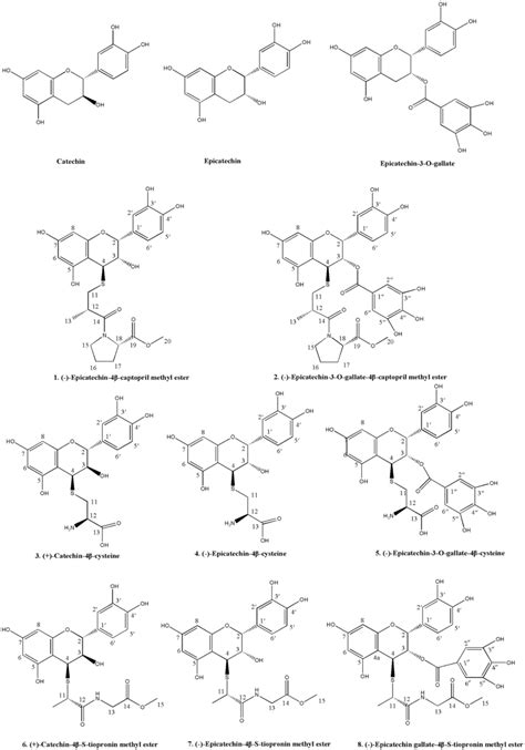 Structures Of Catechin Epicatechin Epicatechin 3 O Gallate And Eight Download Scientific