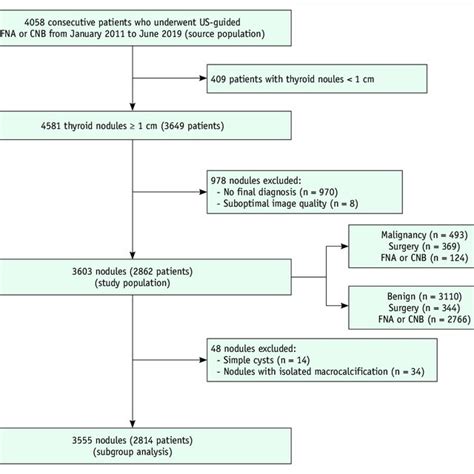 Flow Diagram Of Patient Enrollment Cnb Core Needle Biopsy Fna Download Scientific Diagram