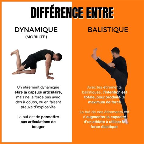 13 Meilleurs Étirements Balistiques Stretching Pro