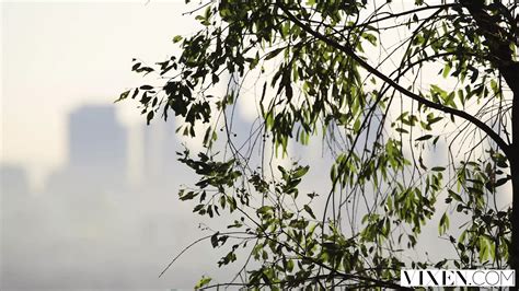 Volunteer Porn Videos XHamster