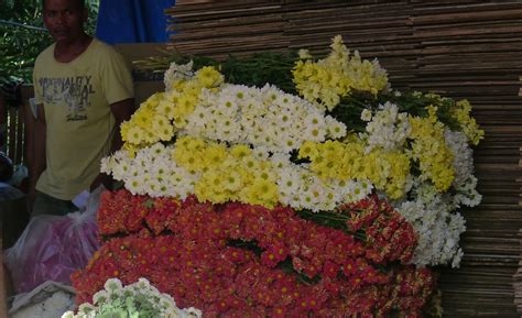 adventures in sustainability: The Flower Growers of Busay, Cebu