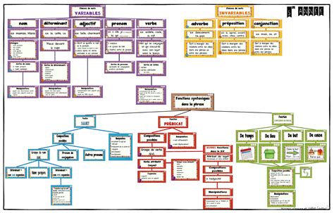 Classes De Mots Et Les Fonctions Syntaxiques Dans La Phrase 4e 5e 6e