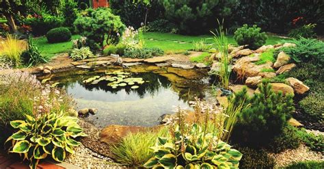 How to Build a Beautiful Backyard Pond in 11 Steps