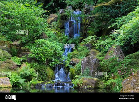 Beautiful waterfalls in Japanese Garden Stock Photo - Alamy
