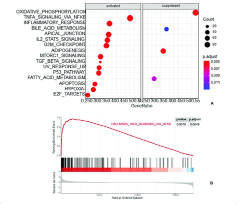 The Results Of Gene Set Enrichment Analysis GSEA A The Top Three