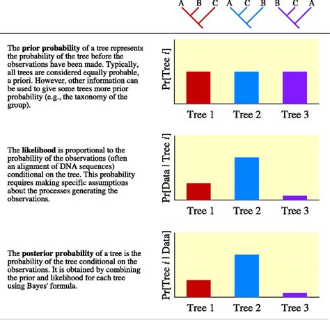 Bayesian Inference Of Phylogeny And Its Impact On Evolutionary Biology