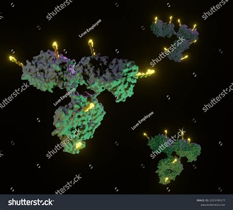 Antibody Drug Conjugates Adcs Targeted Medicines Stock Illustration 2215745177 Shutterstock