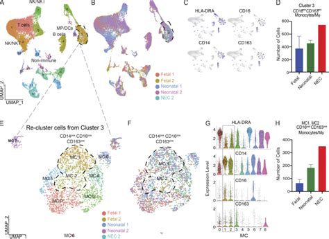 Scrna Seq Confirms That Cd16⁺cd163⁺ Monocytesmϕ Are Abundant In Nec