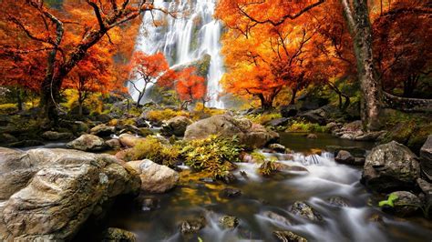 Autumn Water Fall Orange Waterfall Colour Coolwallpapers Me